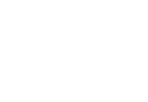 Dimmick Digital Logo